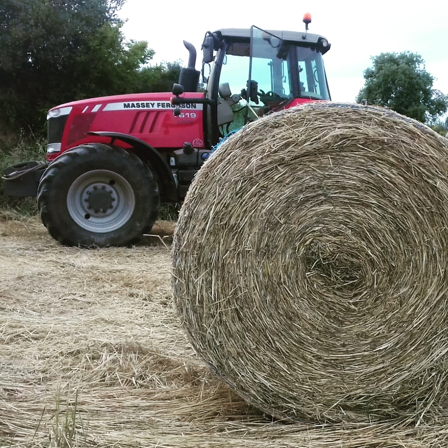 Tractor